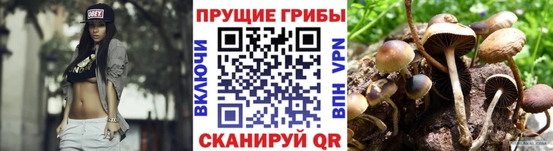 купить наркотик  Тогучин  Псилоцибиновые грибы мухоморы 